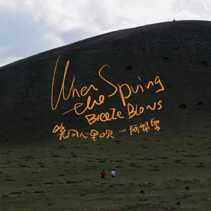 老司机精品影院
